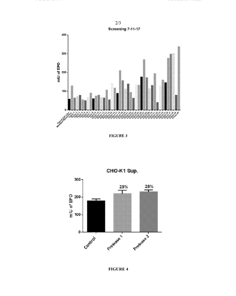 Recombinant CHO-K1 cell line with integrated Technology for enhanced production of Human Erythropoietin protein, in Adherent Cells - Image 2