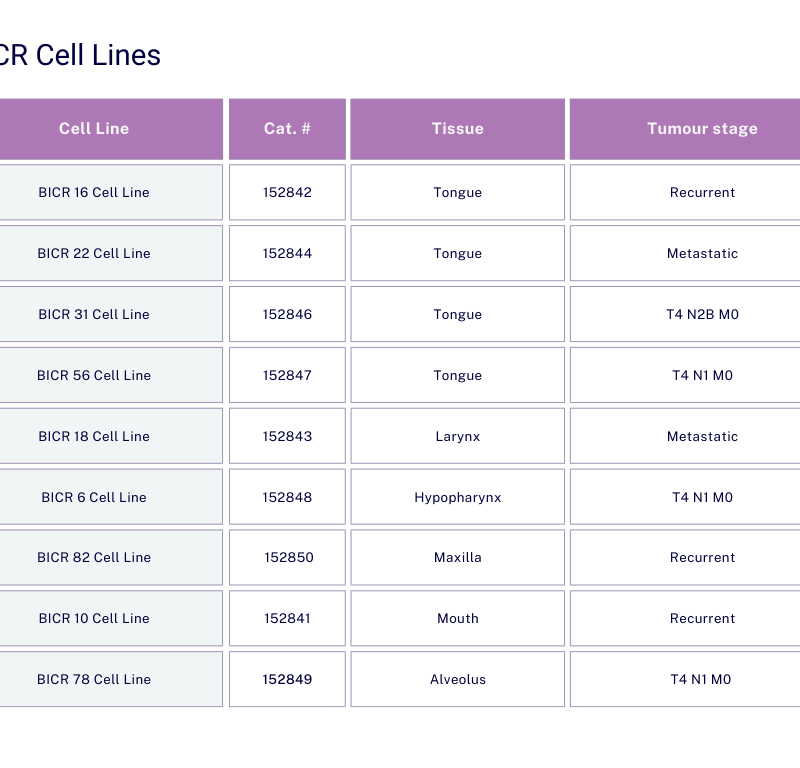 BICR 56 Cell Line - Image 2
