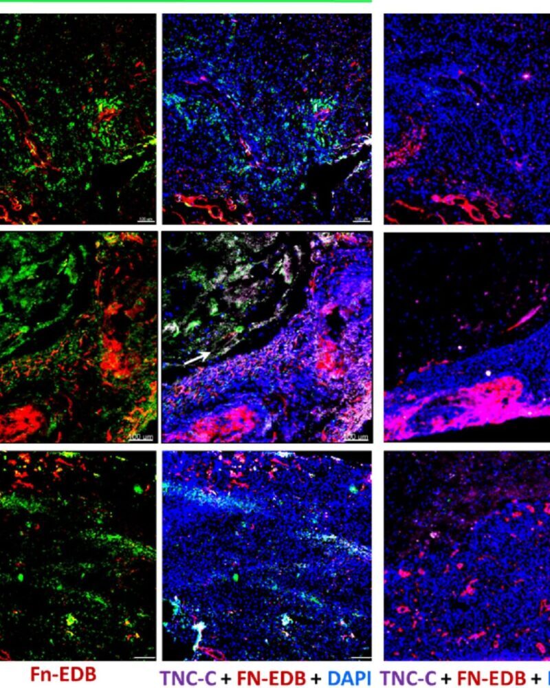 Linasamy et al.; 2019. https