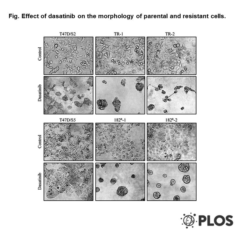 Adapted from Larsen et al. 2015. PLoS One. 10(2)